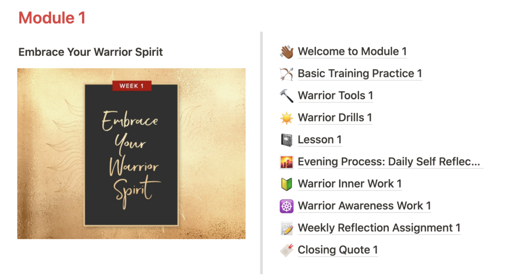 Example of a course module set up in Notion.