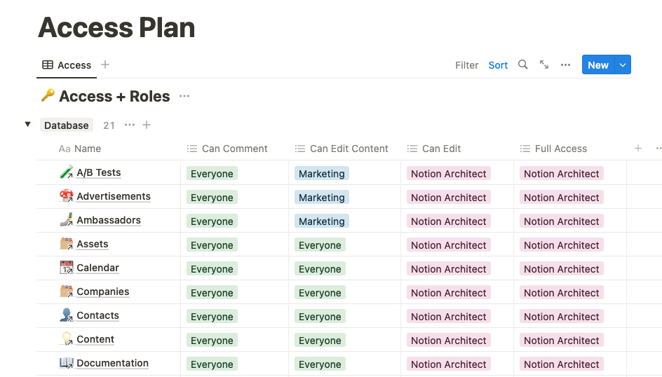 An "Access + Roles" database in Notion showing a list of pages and access levels