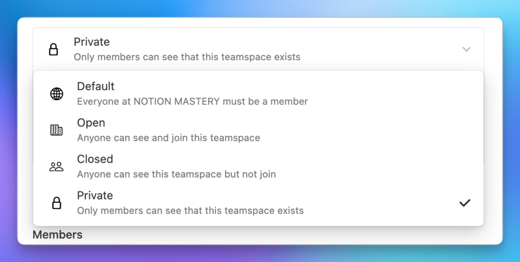 A menu showing the four Notion Teamspace permissions as described.