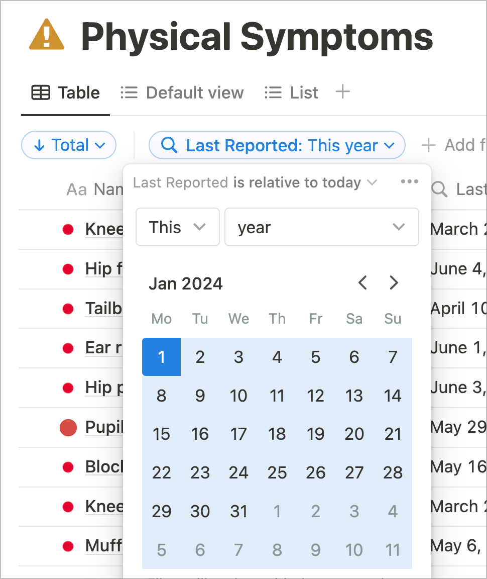 Notion symptom database for pain and symptom tracking