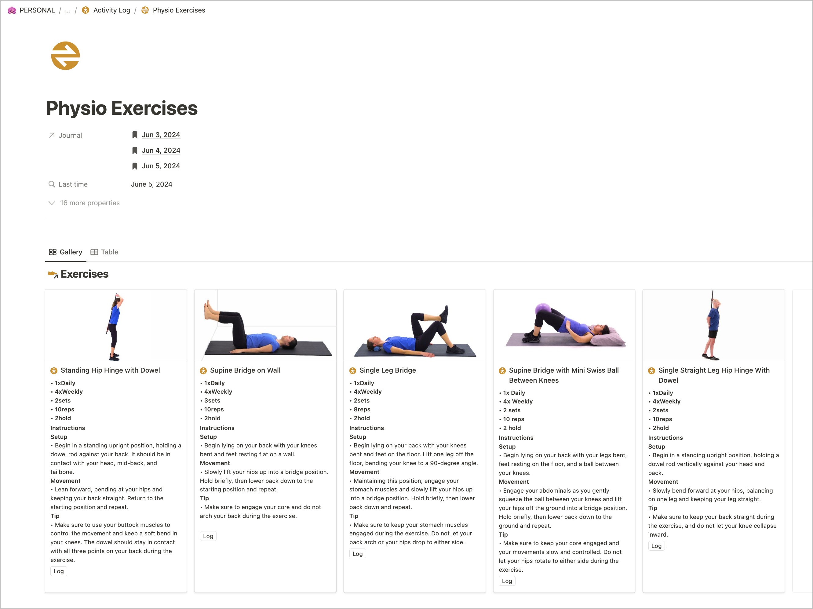 Notion activities database for pain and symptom tracking physiotherapy